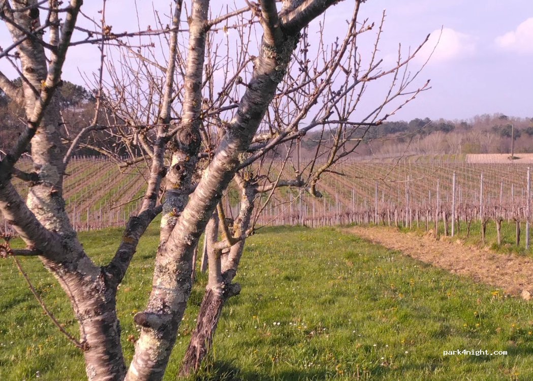 Château Lussan — foto 5