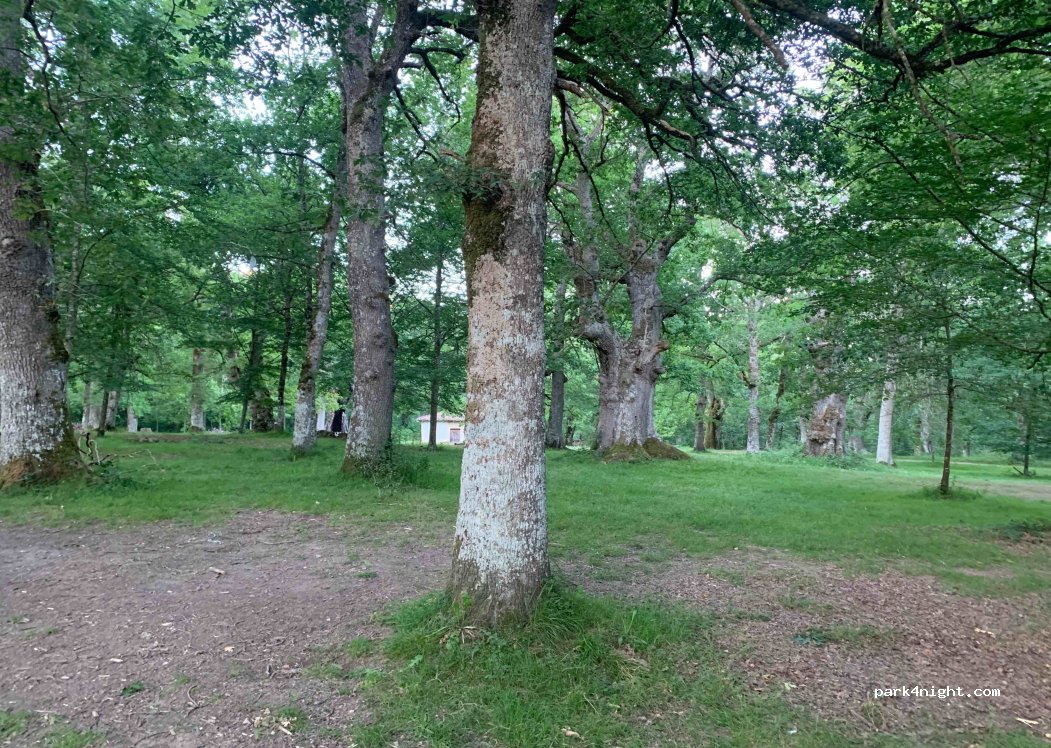 (31810) Urdiain - Unnamed Road — foto 3