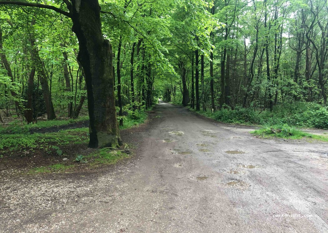 (3707 HN) Zeist - 21A Krakelingweg — foto 2
