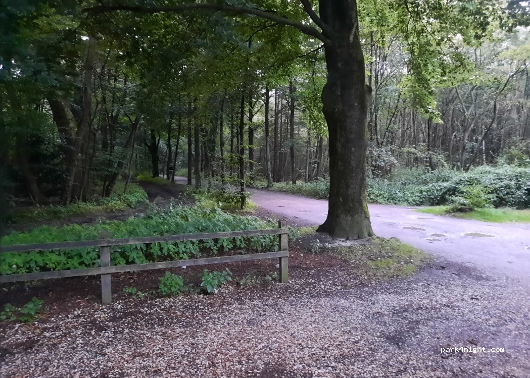 (3707 HN) Zeist - 21A Krakelingweg — foto 3