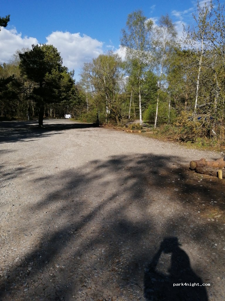 (GU10 3DX)  - Frensham Great Pond — foto