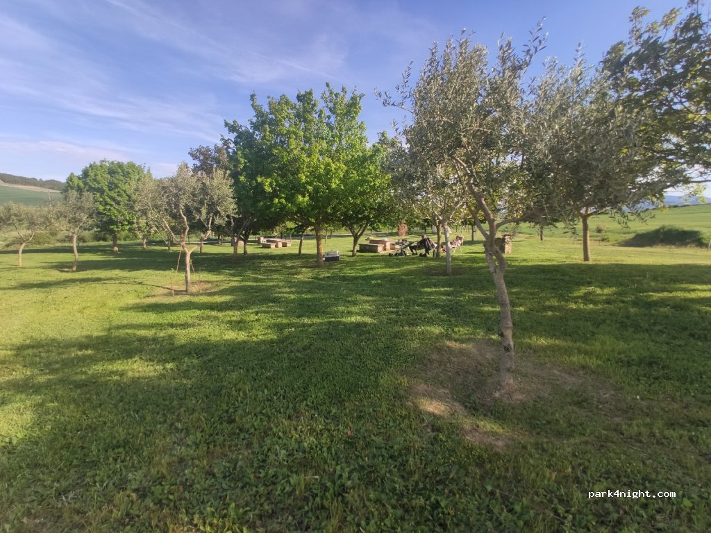 (31177) Casetas de Ciriza - Carretera Estella — foto