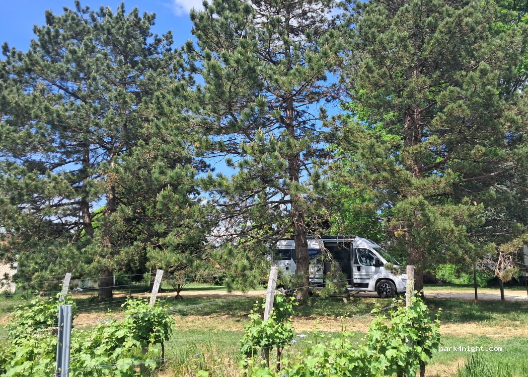 Château Maye De Bouye — foto 5