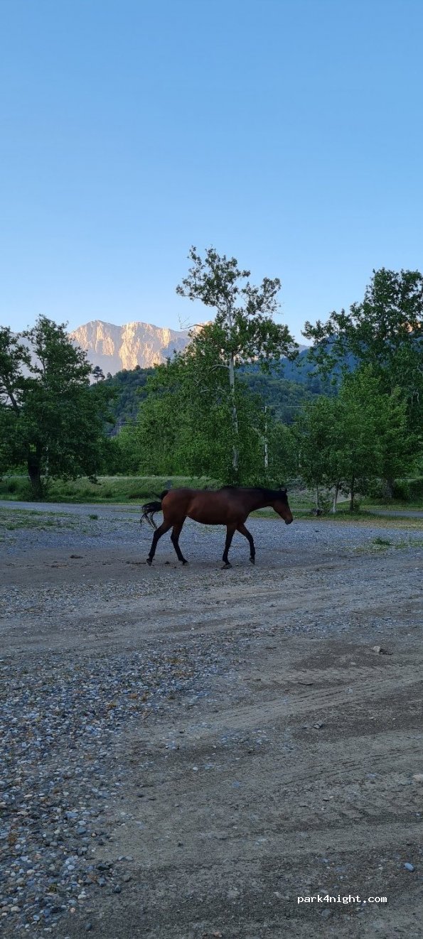 (01470)  - Belemedik Köyü Yolu — foto