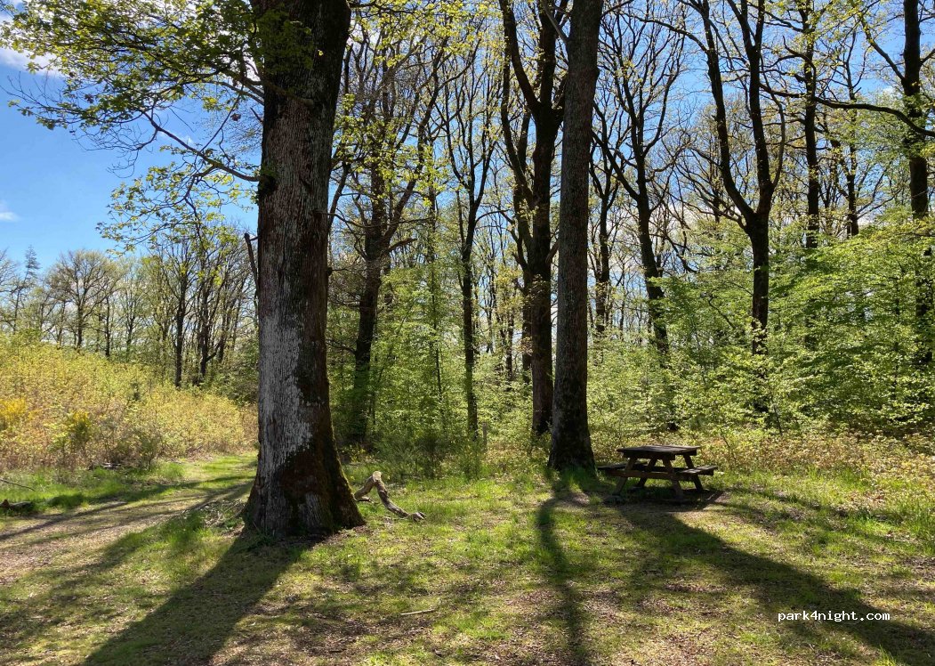 (89630) Quarré-les-Tombes - Unnamed Road — foto 2
