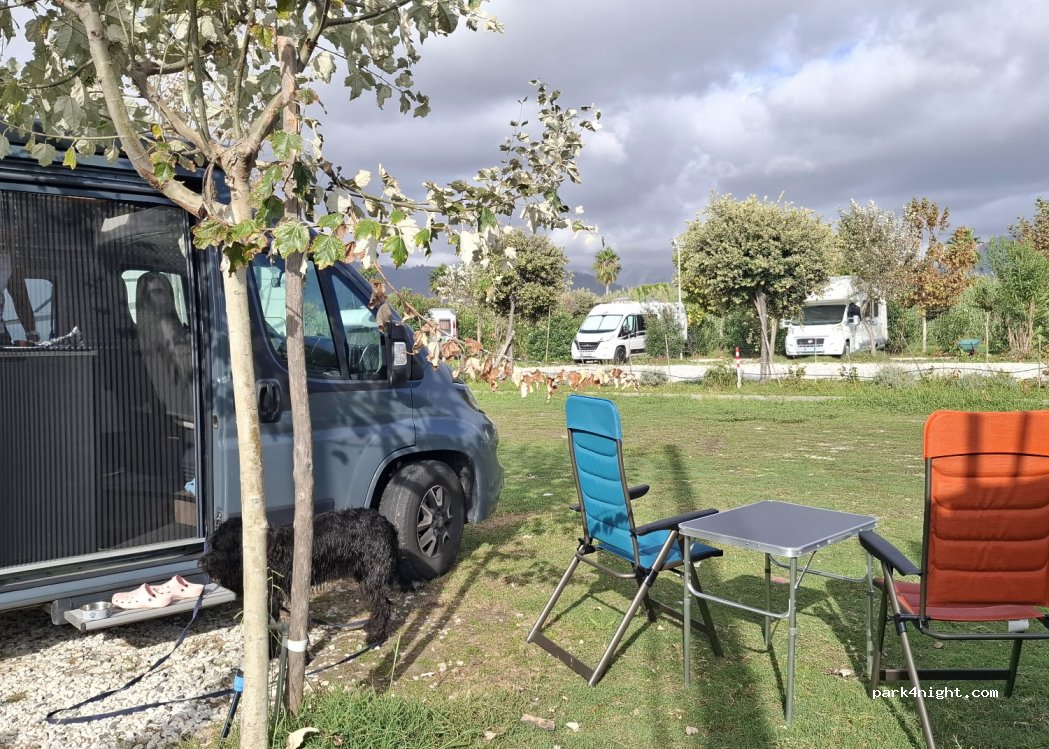(54033) Marina di Carrara - — foto 3