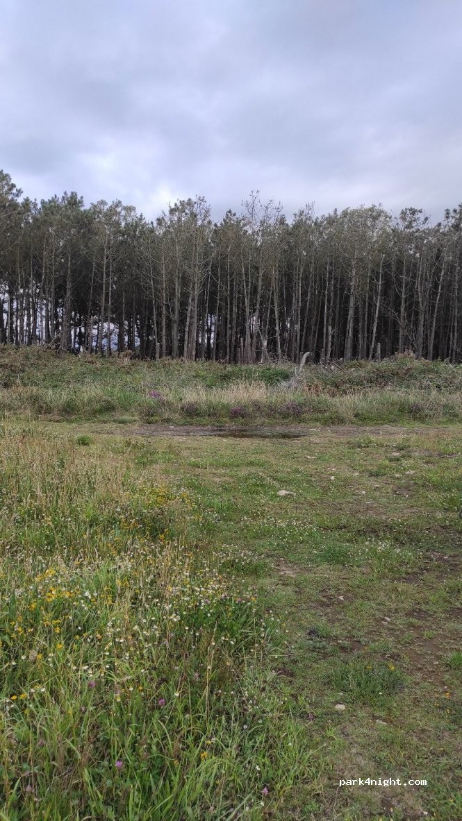 (33746) El Franco - Unnamed Road — foto 2