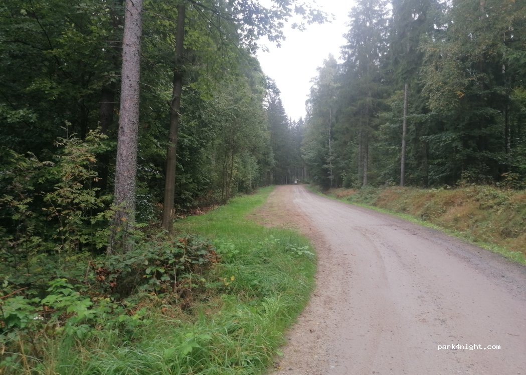 (95632) Tröstauer Forst-Ost - Unnamed Road — foto 2