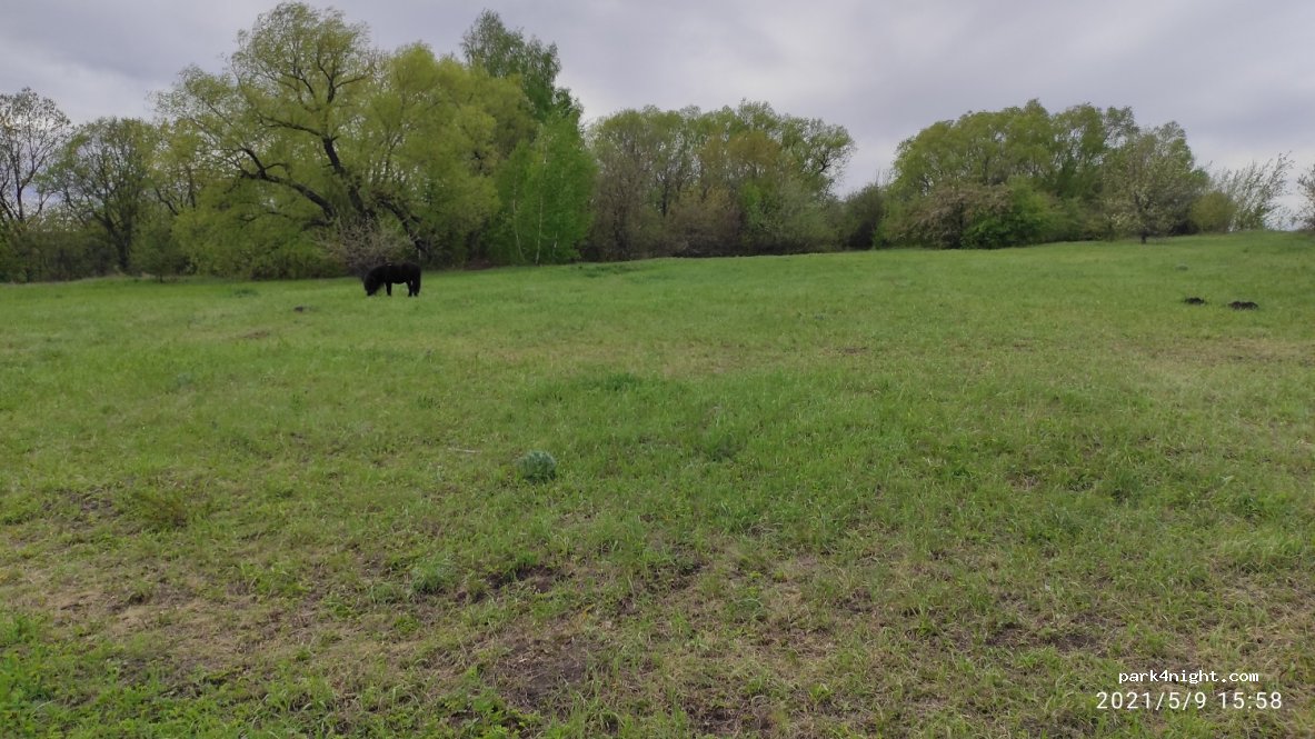 (412177) Korsakovka - Unnamed Road — foto 3