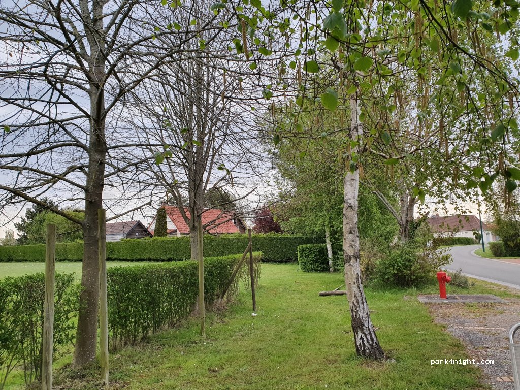 (80120) Saint-Quentin-en-Tourmont - 5 Rue des Écoles — foto