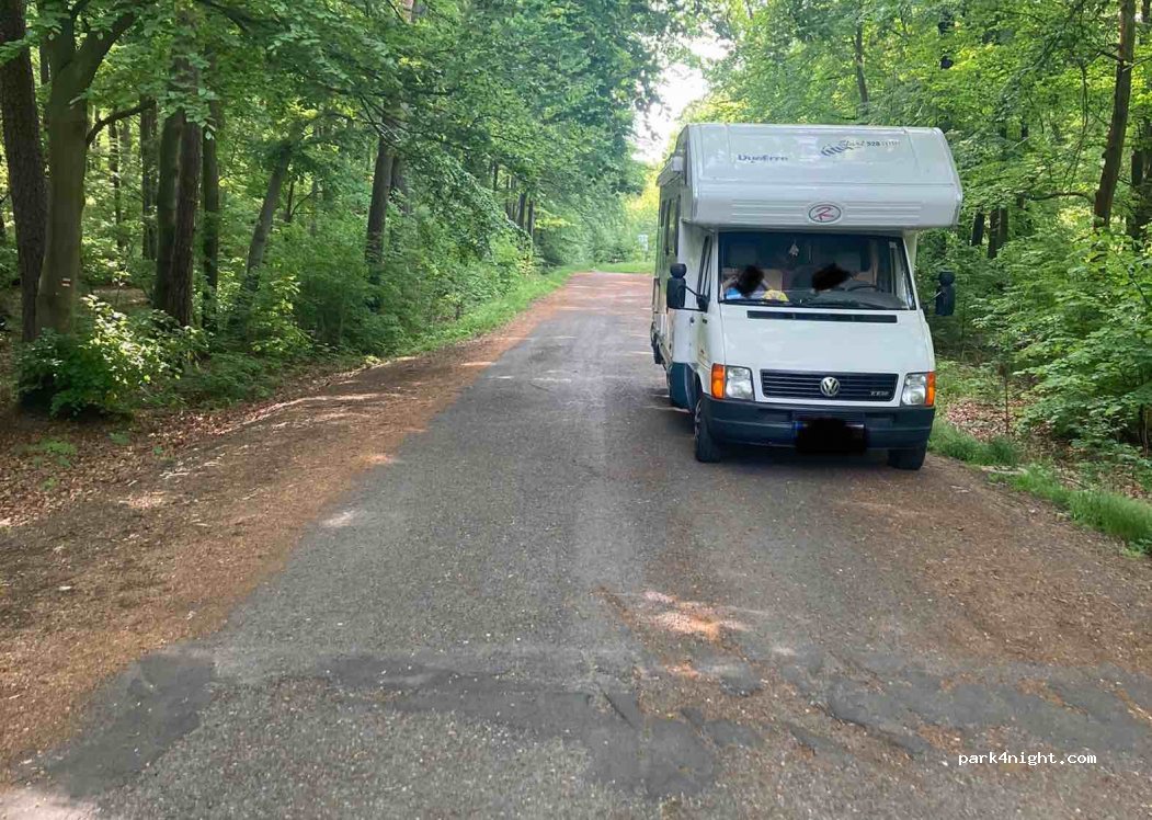 (270 61) Lány - Lesní — foto