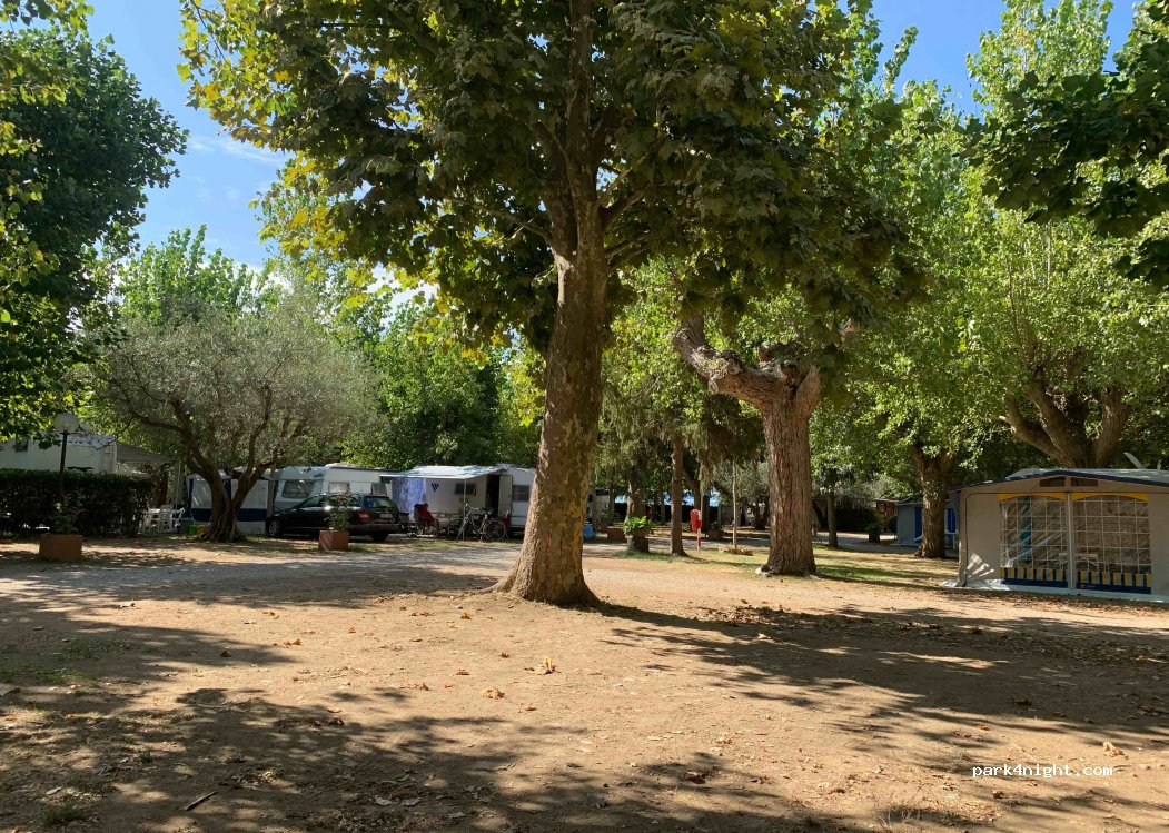 Camping Pineta Bolsena — foto 3