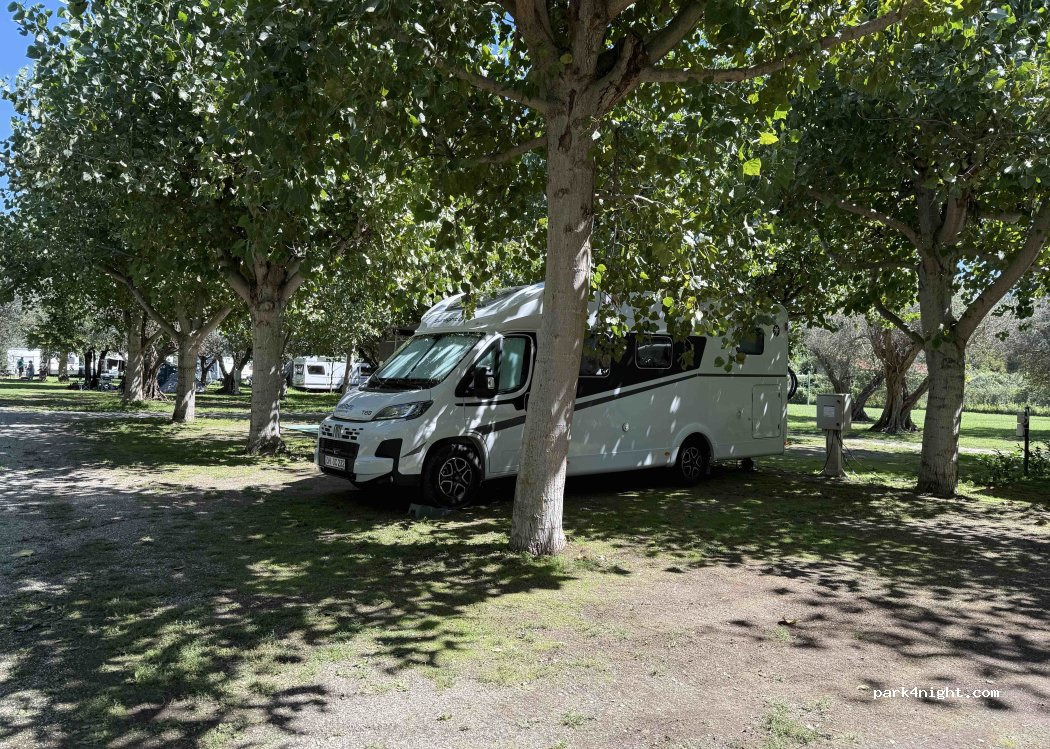Camping Pineta Bolsena — foto 5