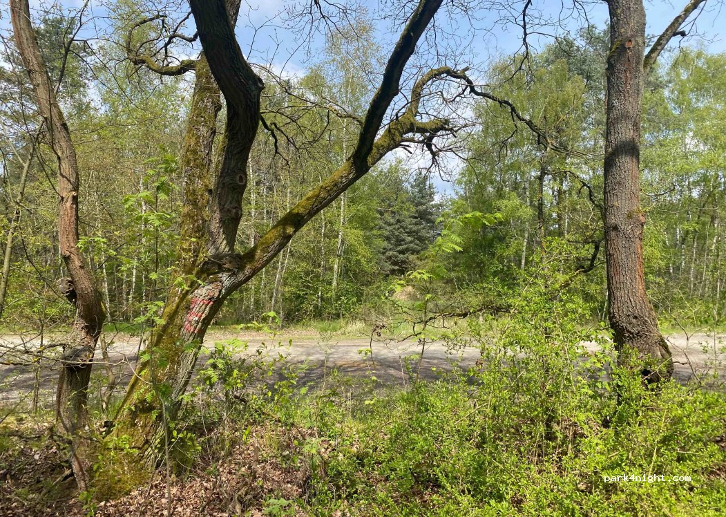 (38556) Bokensdorf - 8 Kirchweg — foto