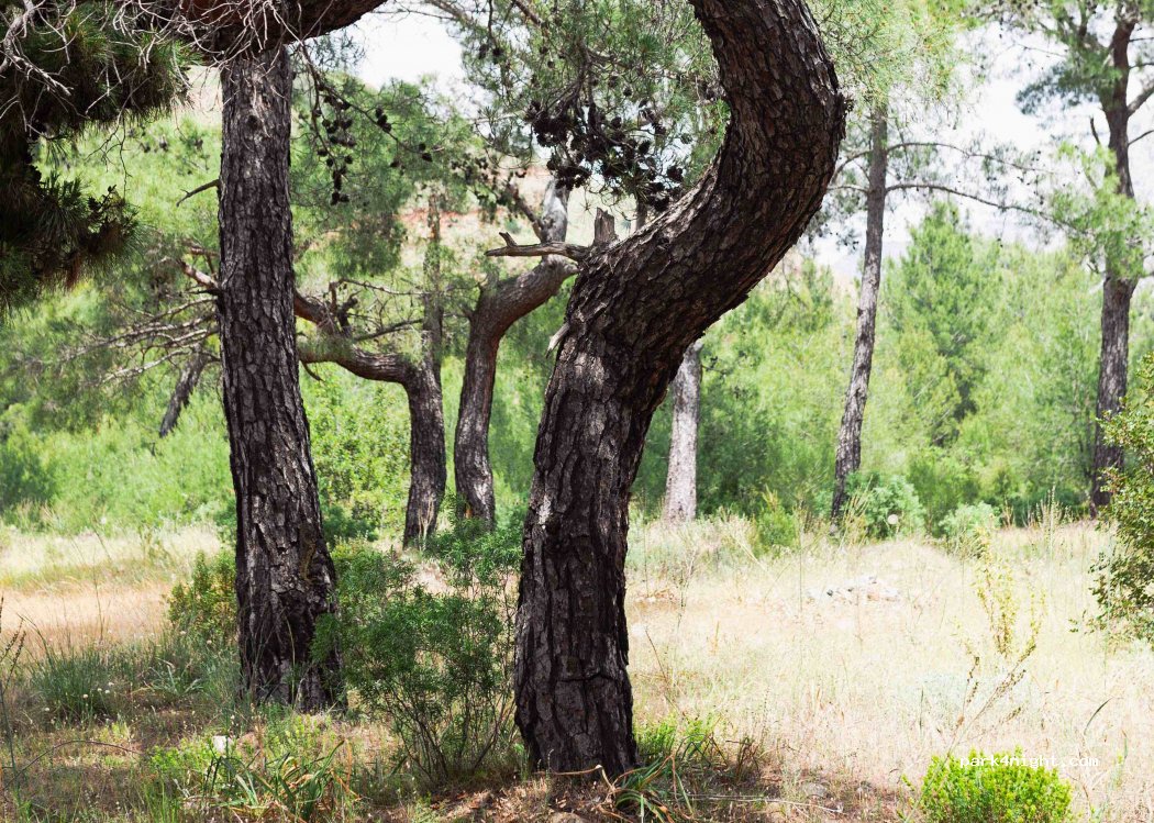 (07350)  - Unnamed Road — foto