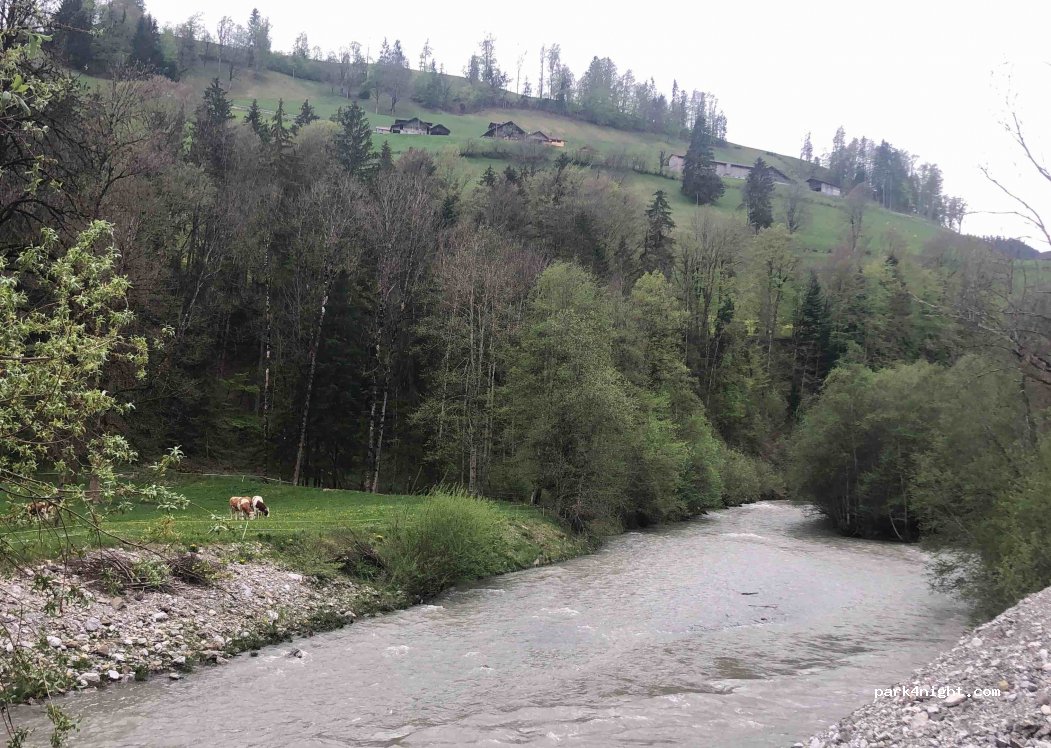 (3765) Oberwil im Simmental - 11 — foto 2