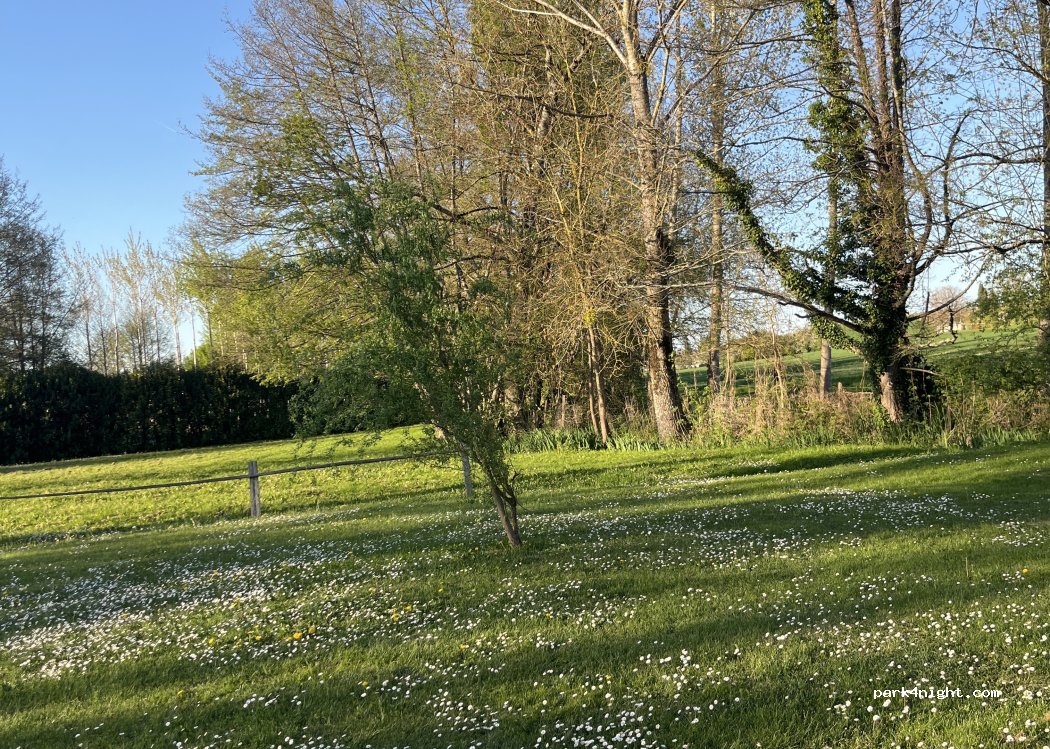 (16360) Condéon - Le Bourg — foto 5