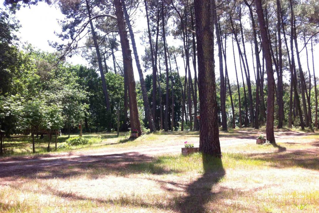 Camping et Chambres d'Hôtes La Teouleyre — foto 2