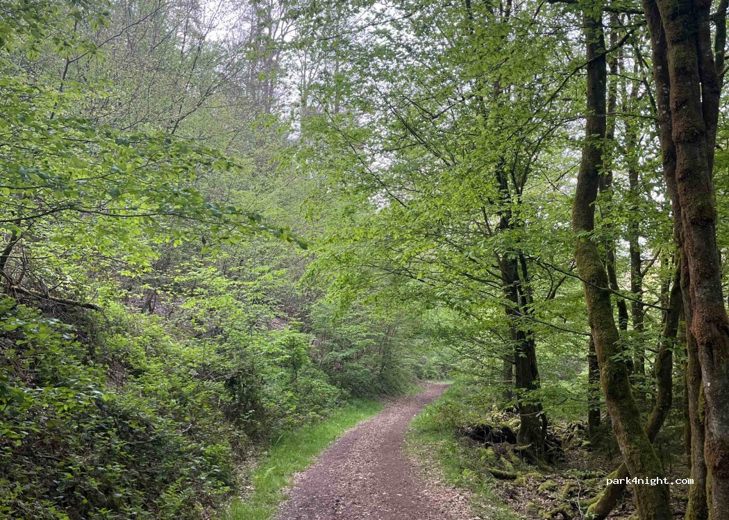 (67466) Esthal - Unnamed Road — foto 3