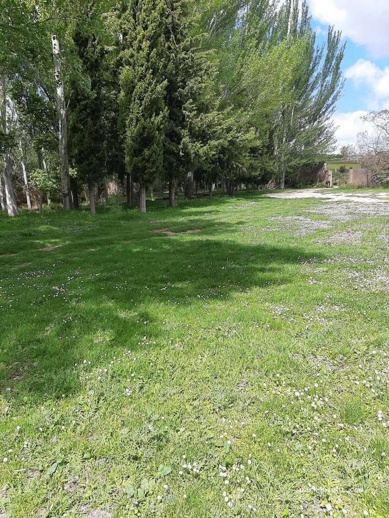 (16800) Priego - CM-2108 — foto 2