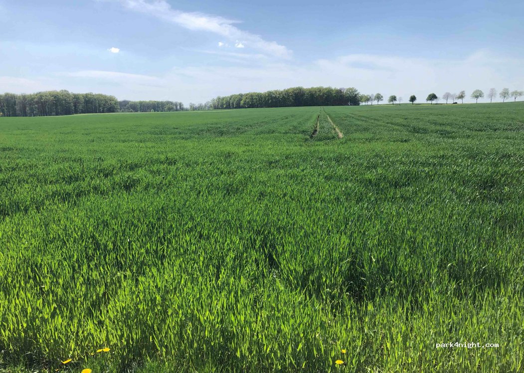 (02694) Großdubrau - 11 Nimschützer Weg — foto 2