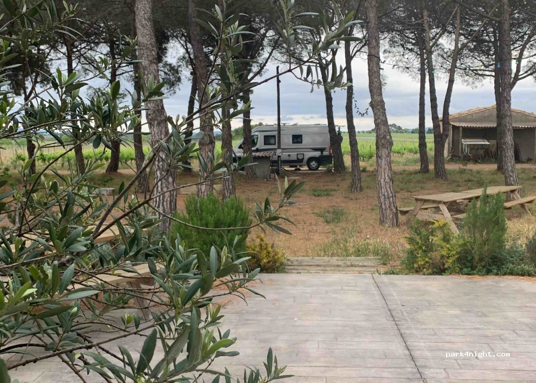 A l'ombre des Pins du Domaine des Homs — foto 2