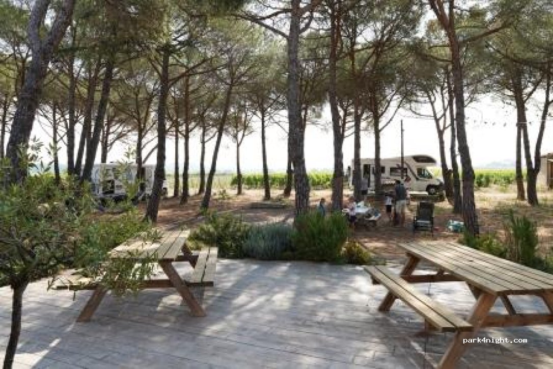 A l'ombre des Pins du Domaine des Homs — foto 4