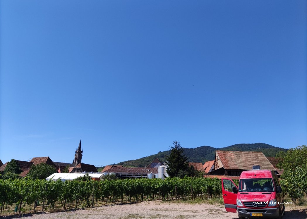 Les Vignobles Ruhlmann-Schutz — foto 2