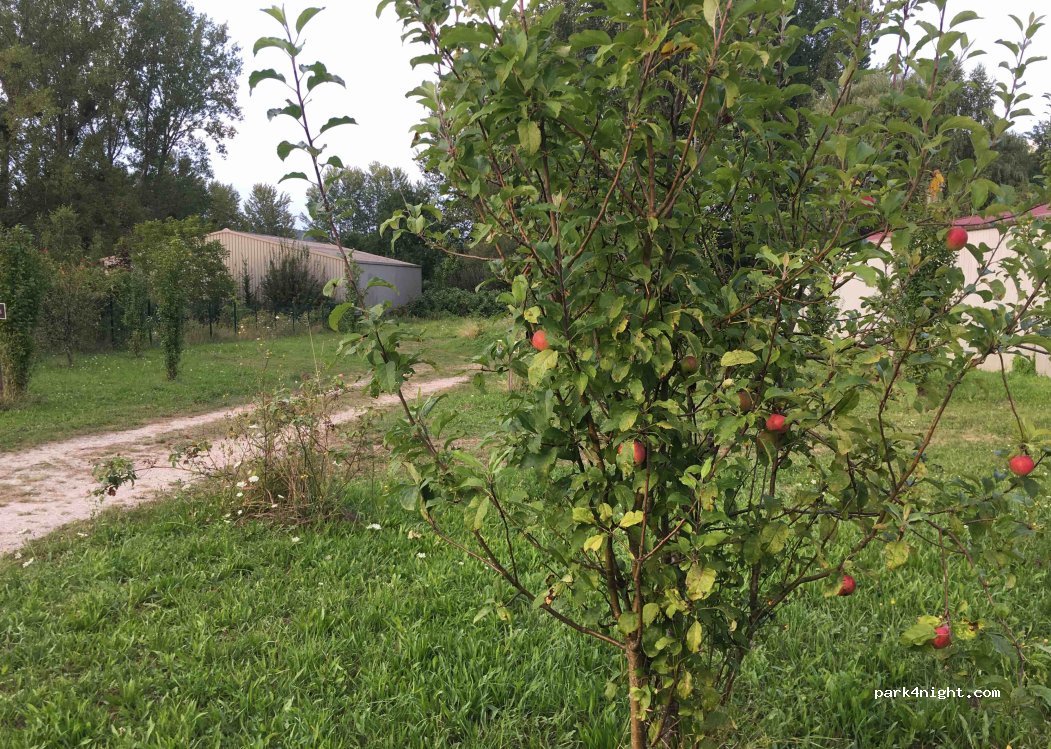 Domaine de la Margotte — foto 3
