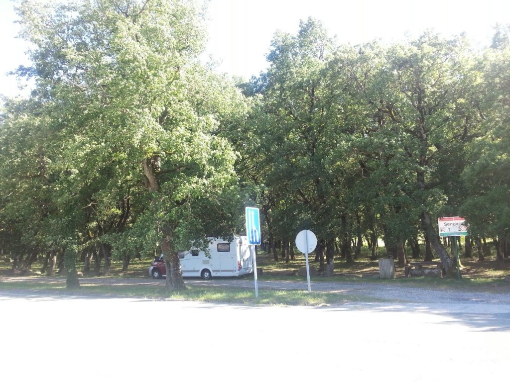 (31473) Lecáun - NA-2420 — foto