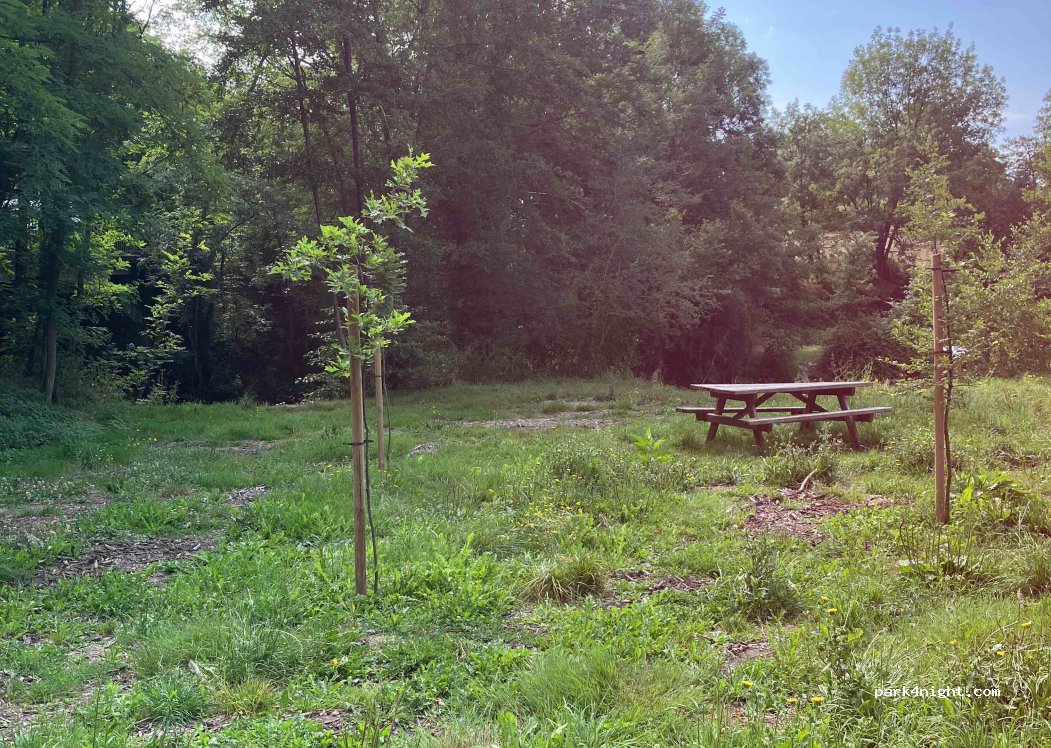 (79350) Faye-l'Abbesse - Rue du Thouaret — foto
