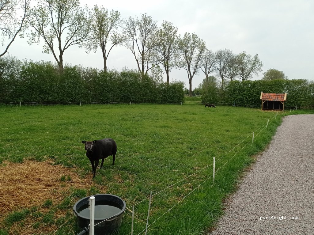 De Hoge Haren — foto 3