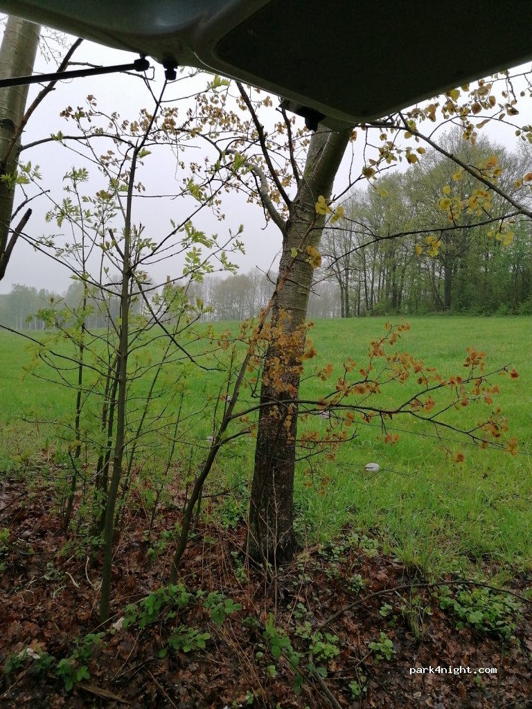 (02829) Königshain - Unnamed Road — foto