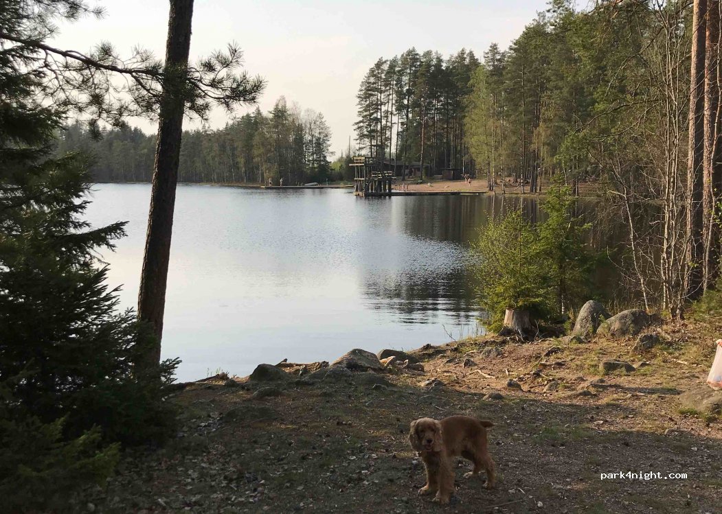 (25390)  - 36 Oinasjärventie — foto