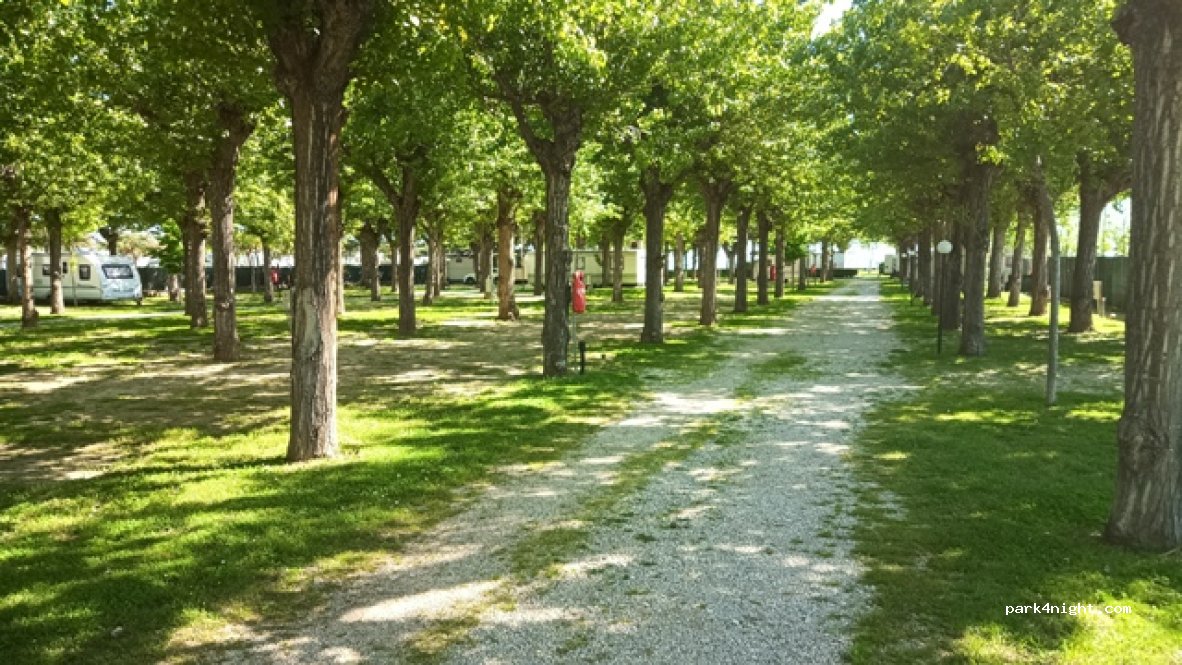 Sosta Camper Mare Nostrum Agricamping — foto 3