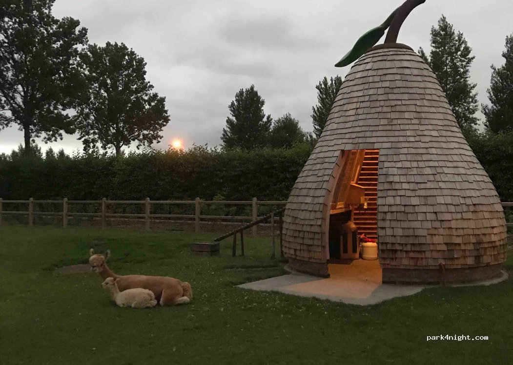 Camping de Boskreek — foto