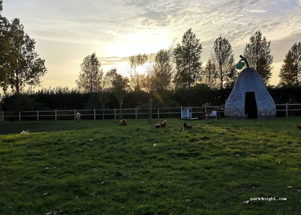 Camping de Boskreek — foto 3