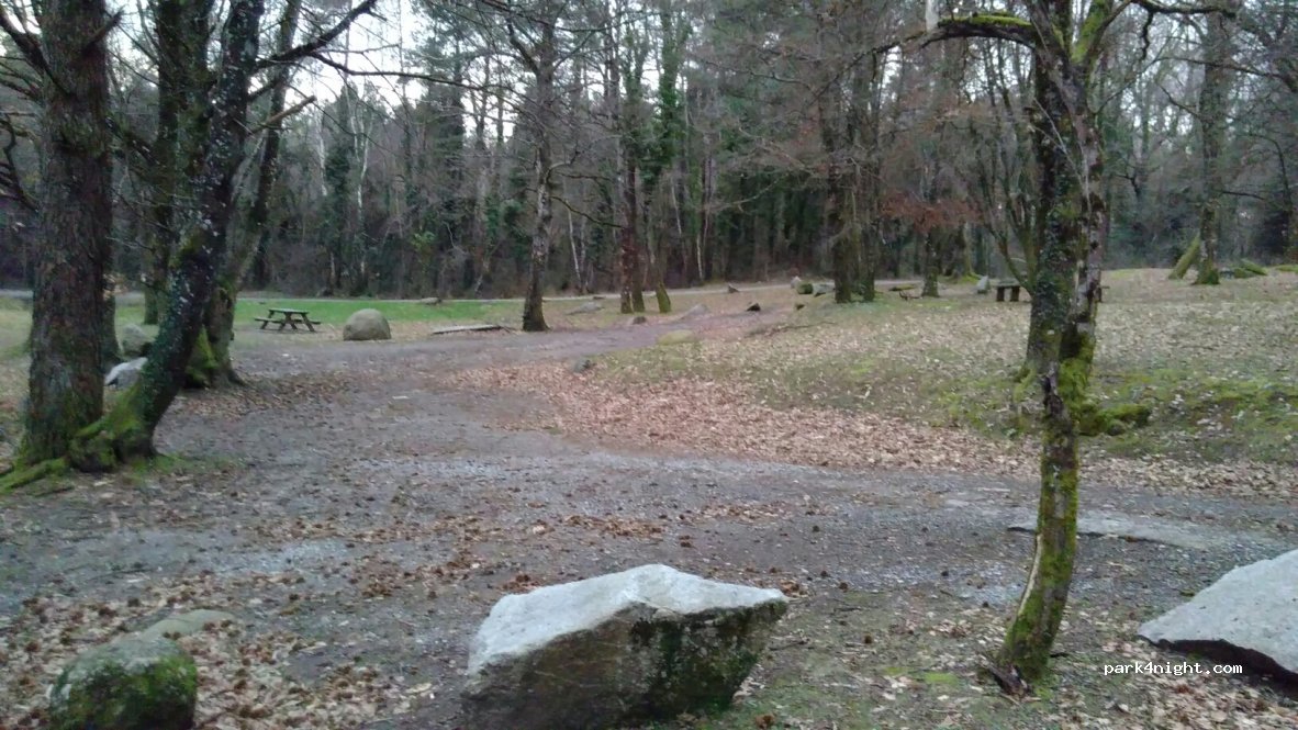 (81210) Lacrouzette - La Safraniére — foto 2