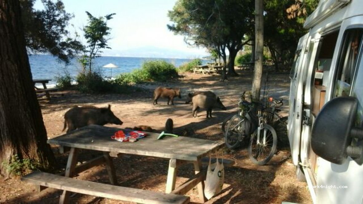 (09430)  - Milli Park Caddesi — foto 2