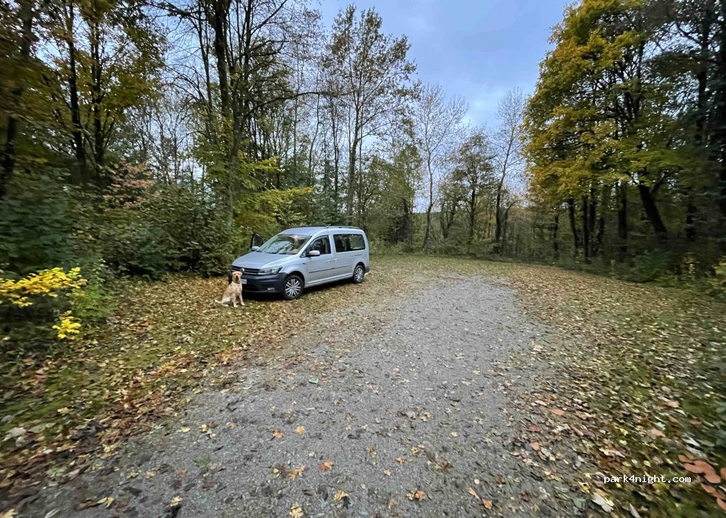 (34414) Warburg - — foto