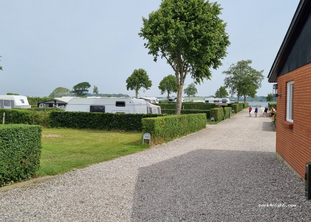 Sandager Næs Camping — foto 2