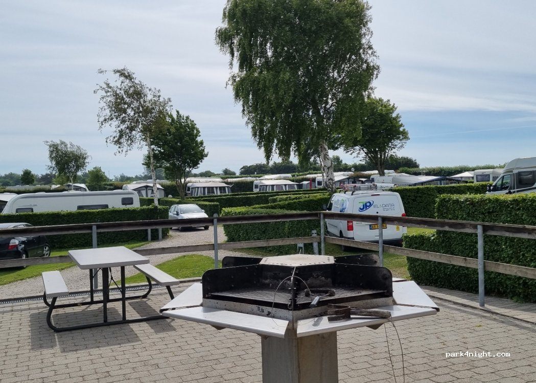 Sandager Næs Camping — foto 5