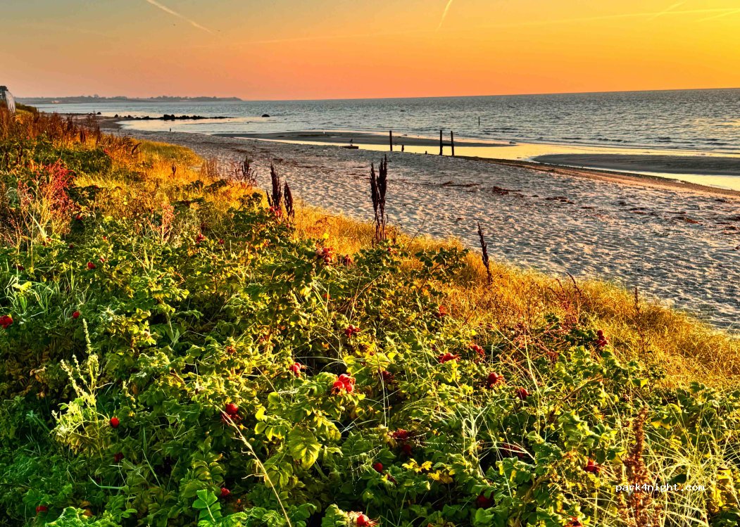 Ballen Strandcamping — foto 4
