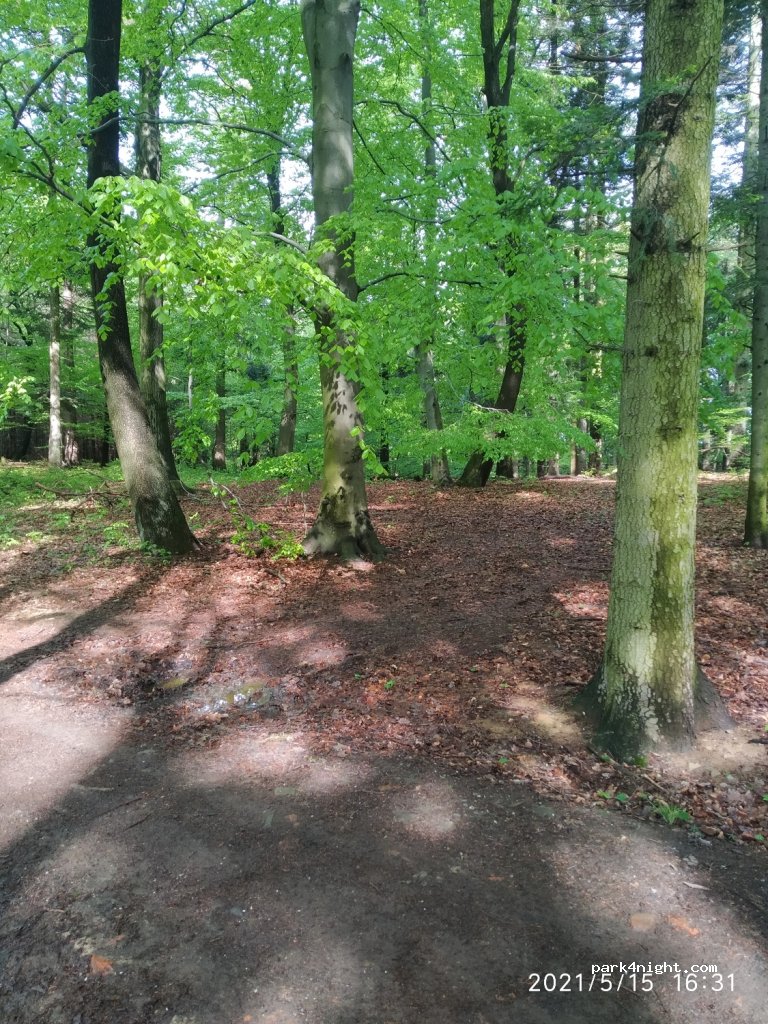 (763 19) Kašava - Unnamed Road — foto
