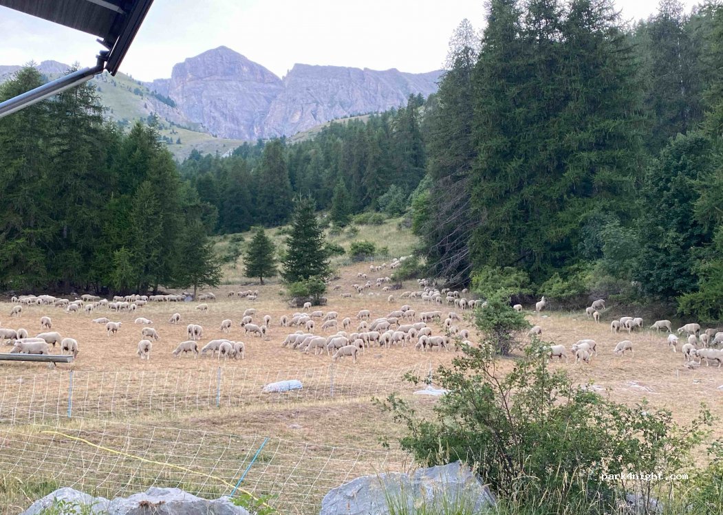 (06470) Saint-Martin-d'Entraunes - Route du Col des Champs — foto