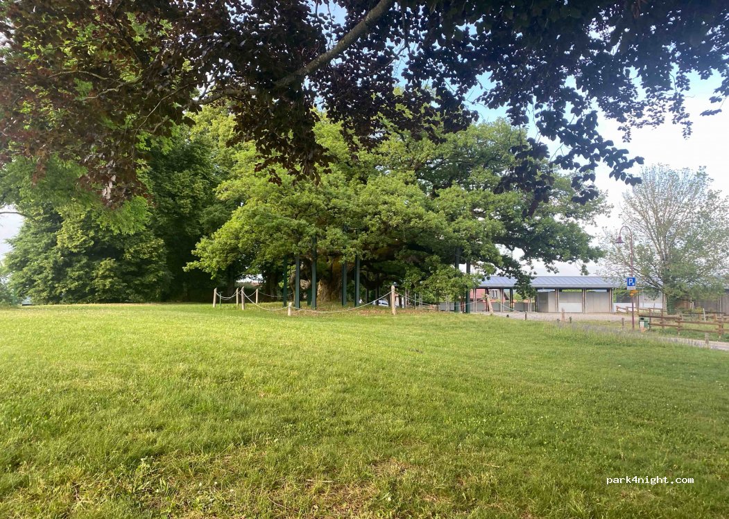 (1054) Morrens - 5-3 Chemin de l'Orme — foto