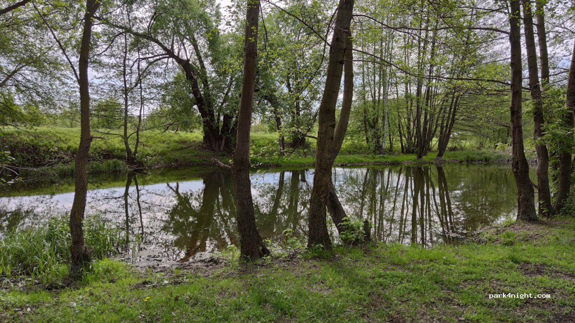 (309536) Kaplino - Ulitsa Gornyakov — foto