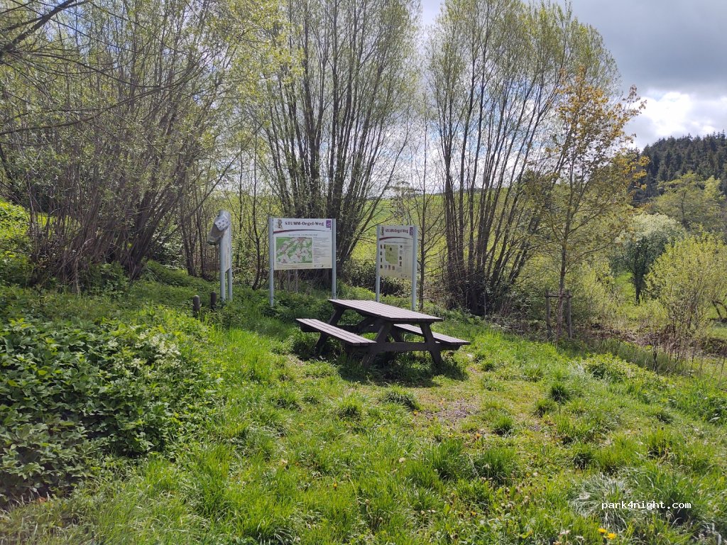 (55624) Rhaunen - Unnamed Road — foto 2