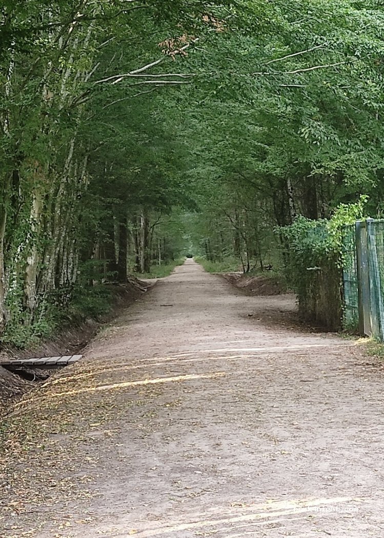 (37550) Chambray-lès-Tours - Rue de la Bellerie — foto 2