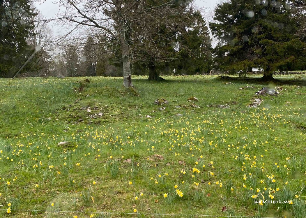 (2606) Corgémont - Métairie la Gléresse — foto